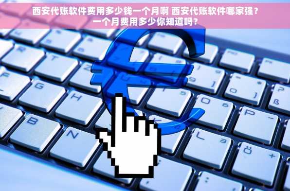 西安代账软件费用多少钱一个月啊 西安代账软件哪家强？一个月费用多少你知道吗？