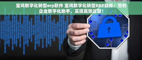 宝鸡数字化转型erp软件 宝鸡数字化转型ERP软件：您的企业数字化助手，实现高效运营！