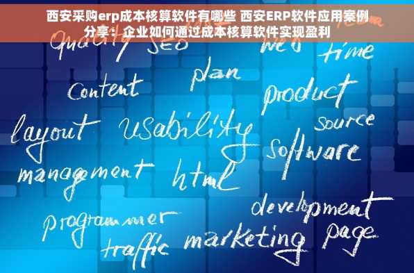 西安采购erp成本核算软件有哪些 西安ERP软件应用案例分享：企业如何通过成本核算软件实现盈利