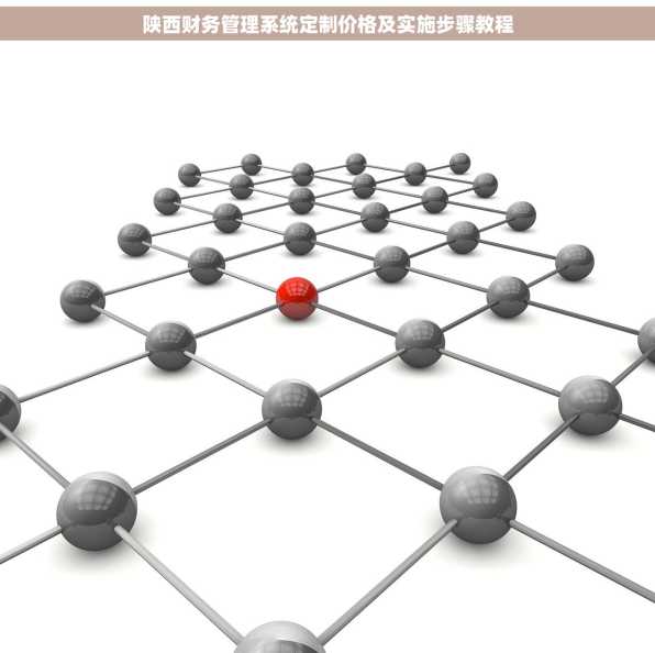 陕西财务管理系统定制价格及实施步骤教程