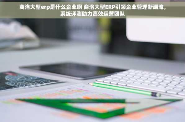 商洛大型erp是什么企业啊 商洛大型ERP引领企业管理新潮流，系统评测助力高效运营团队