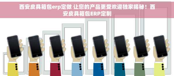 西安皮具箱包erp定做 让您的产品更受欢迎独家揭秘！西安皮具箱包ERP定制