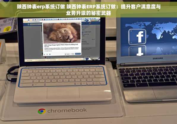 陕西钟表erp系统订做 陕西钟表ERP系统订做：提升客户满意度与业务升级的秘密武器
