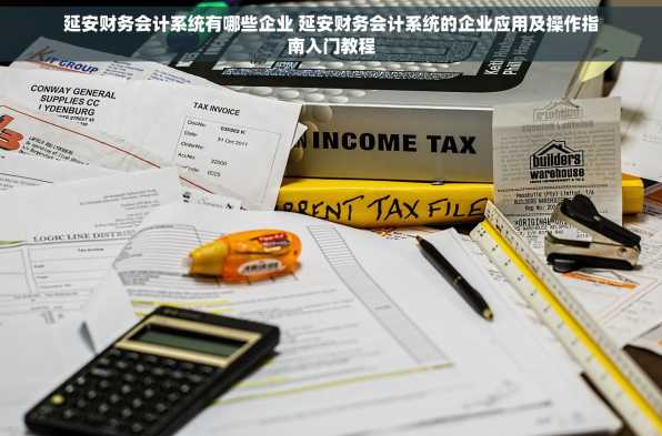 延安财务会计系统有哪些企业 延安财务会计系统的企业应用及操作指南入门教程
