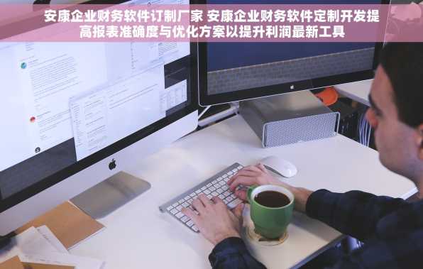 安康企业财务软件订制厂家 安康企业财务软件定制开发提高报表准确度与优化方案以提升利润最新工具