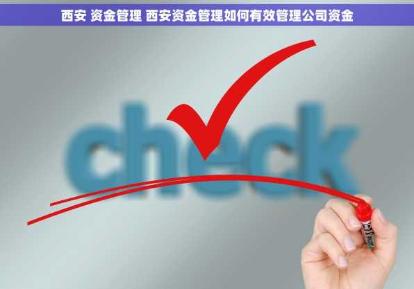 西安 资金管理 西安资金管理如何有效管理公司资金
