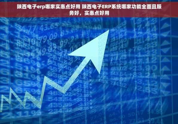 陕西电子erp哪家实惠点好用 陕西电子ERP系统哪家功能全面且服务好，实惠点好用