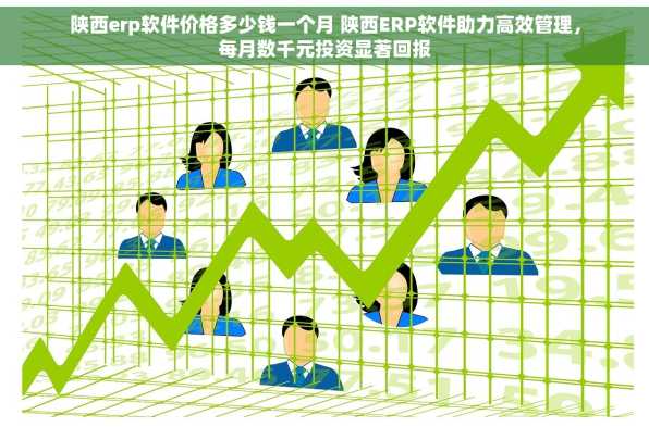 陕西erp软件价格多少钱一个月 陕西ERP软件助力高效管理，每月数千元投资显著回报
