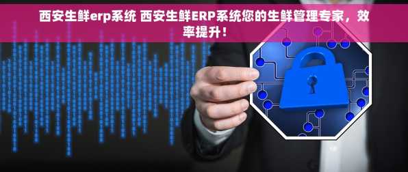 西安生鲜erp系统 西安生鲜ERP系统您的生鲜管理专家，效率提升！