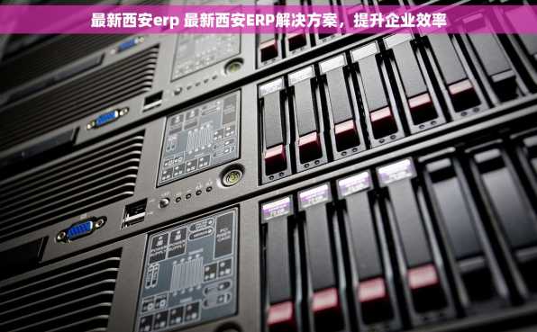 最新西安erp 最新西安ERP解决方案，提升企业效率