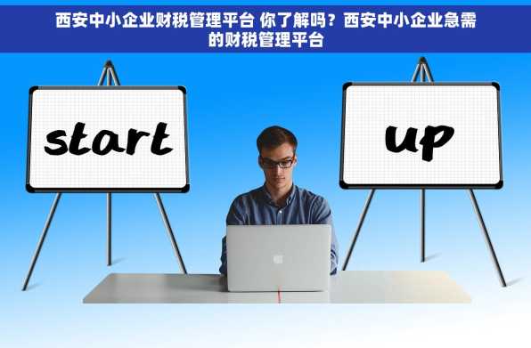 西安中小企业财税管理平台 你了解吗？西安中小企业急需的财税管理平台