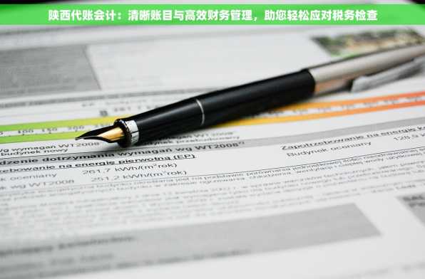 陕西代账会计：清晰账目与高效财务管理，助您轻松应对税务检查
