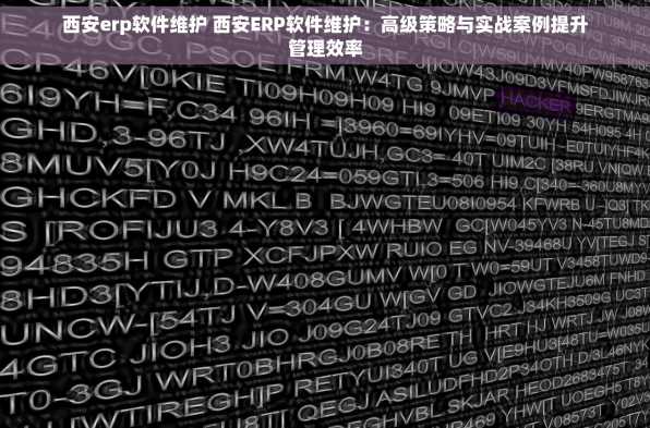 西安erp软件维护 西安ERP软件维护：高级策略与实战案例提升管理效率