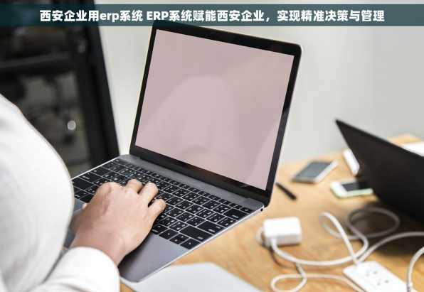西安企业用erp系统 ERP系统赋能西安企业，实现精准决策与管理
