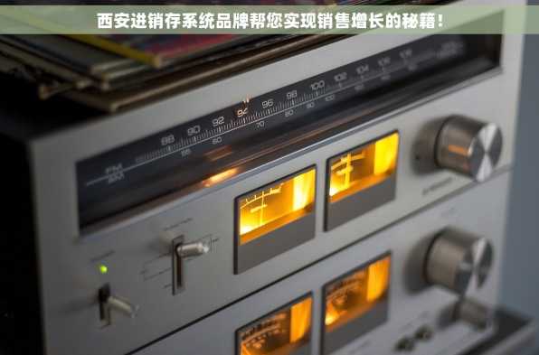 西安进销存系统品牌帮您实现销售增长的秘籍！