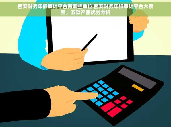 西安财务年报审计平台有哪些单位 西安财务年报审计平台大搜索，五款产品优劣分析