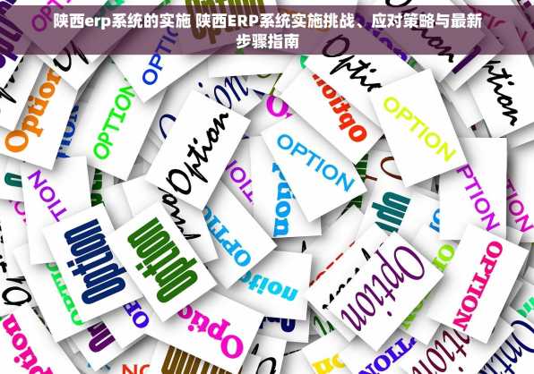 陕西erp系统的实施 陕西ERP系统实施挑战、应对策略与最新步骤指南