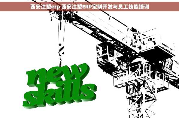 西安注塑erp 西安注塑ERP定制开发与员工技能培训