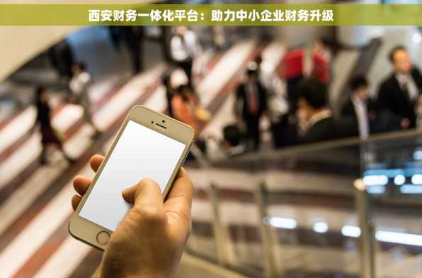 西安财务一体化平台：助力中小企业财务升级