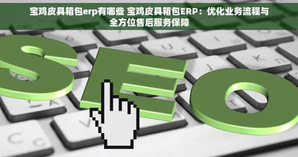 宝鸡皮具箱包erp有哪些 宝鸡皮具箱包ERP：优化业务流程与全方位售后服务保障