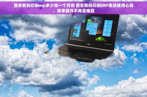 西安数码印刷erp多少钱一个月啊 西安数码印刷ERP系统使用心得，效率提升不再是难题