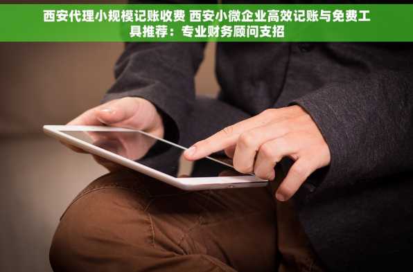 西安代理小规模记账收费 西安小微企业高效记账与免费工具推荐：专业财务顾问支招