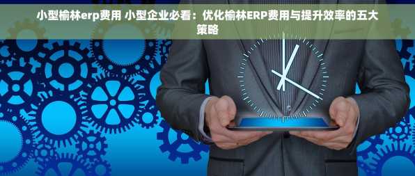 小型榆林erp费用 小型企业必看：优化榆林ERP费用与提升效率的五大策略