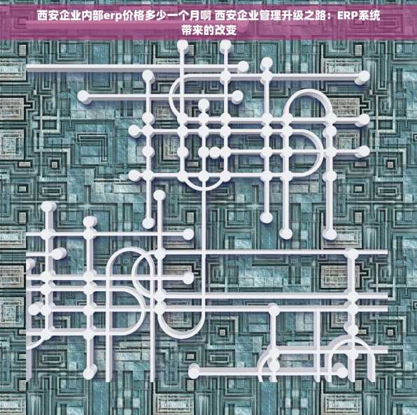 西安企业内部erp价格多少一个月啊 西安企业管理升级之路：ERP系统带来的改变