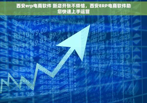 西安erp电商软件 新店开张不烦恼，西安ERP电商软件助您快速上手运营
