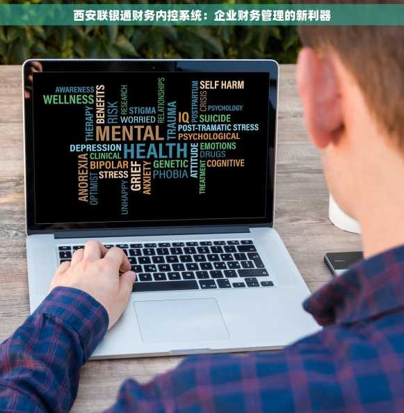 西安联银通财务内控系统：企业财务管理的新利器
