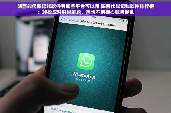 陕西的代账记账软件有哪些平台可以用 陕西代账记账软件排行榜：轻松应对财税难题，再也不用担心账目混乱