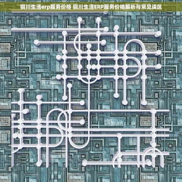 铜川生活erp服务价格 铜川生活ERP服务价格解析与常见误区