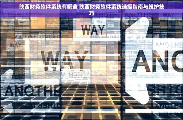 陕西财务软件系统有哪些 陕西财务软件系统选择指南与维护技巧