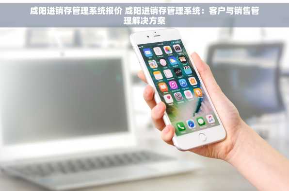 咸阳进销存管理系统报价 咸阳进销存管理系统：客户与销售管理解决方案