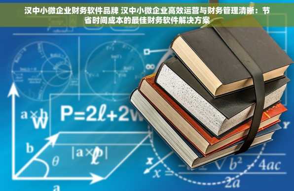 汉中小微企业财务软件品牌 汉中小微企业高效运营与财务管理清晰：节省时间成本的最佳财务软件解决方案