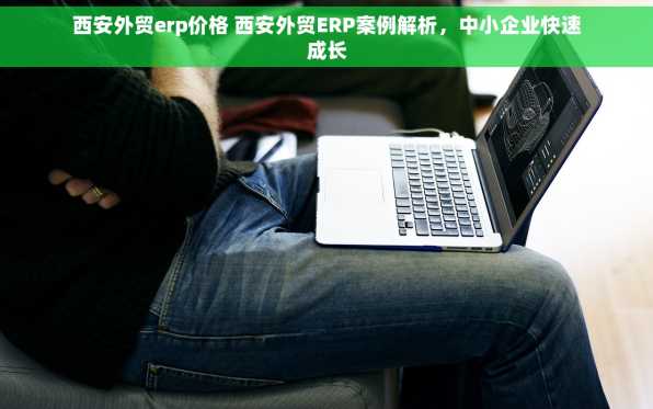 西安外贸erp价格 西安外贸ERP案例解析，中小企业快速成长