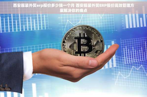 西安服装外贸erp报价多少钱一个月 西安服装外贸ERP报价高效管理方案解决你的痛点