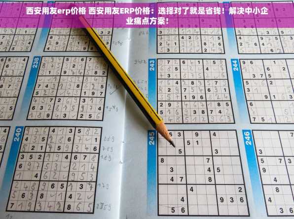 西安用友erp价格 西安用友ERP价格：选择对了就是省钱！解决中小企业痛点方案！