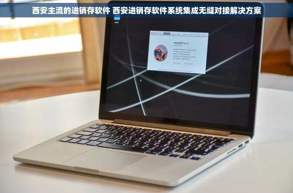 西安主流的进销存软件 西安进销存软件系统集成无缝对接解决方案