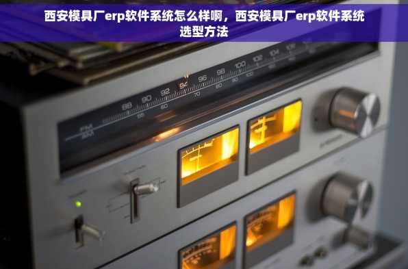 西安模具厂erp软件系统怎么样啊，西安模具厂erp软件系统选型方法