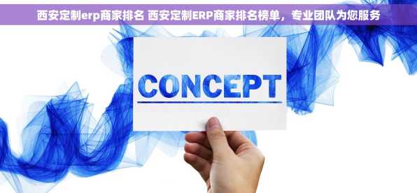 西安定制erp商家排名 西安定制ERP商家排名榜单，专业团队为您服务