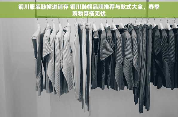铜川服装鞋帽进销存 铜川鞋帽品牌推荐与款式大全，春季购物穿搭无忧