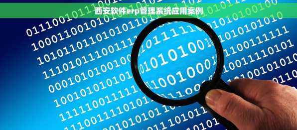 西安软件erp管理系统应用案例