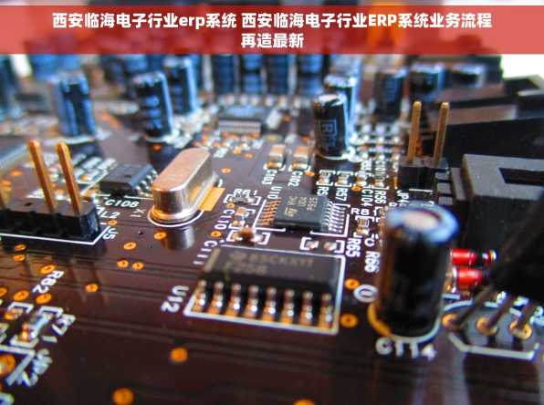 西安临海电子行业erp系统 西安临海电子行业ERP系统业务流程再造最新