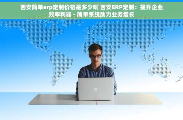 西安简单erp定制价格是多少啊 西安ERP定制：提升企业效率利器 - 简单系统助力业务增长
