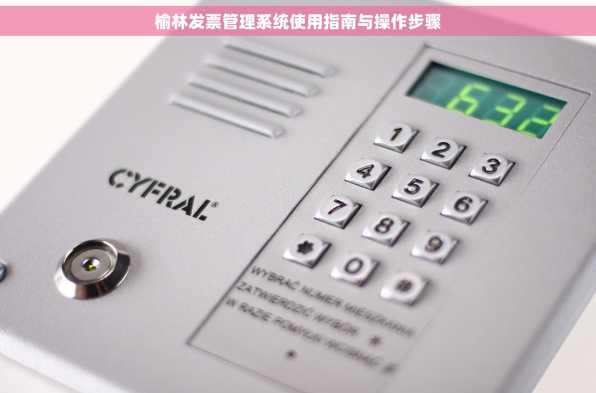 榆林发票管理系统使用指南与操作步骤