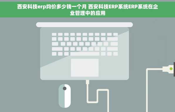 西安科技erp均价多少钱一个月 西安科技ERP系统ERP系统在企业管理中的应用