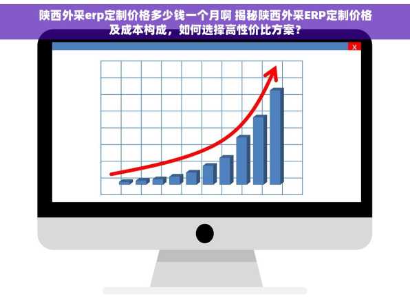 陕西外采erp定制价格多少钱一个月啊 揭秘陕西外采ERP定制价格及成本构成，如何选择高性价比方案？