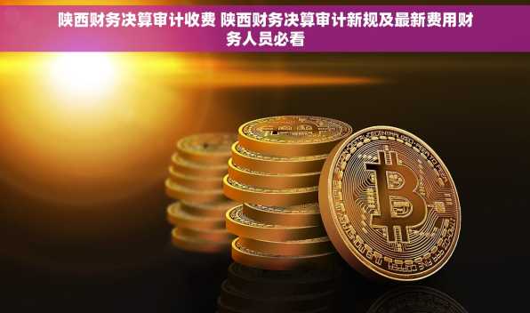 陕西财务决算审计收费 陕西财务决算审计新规及最新费用财务人员必看