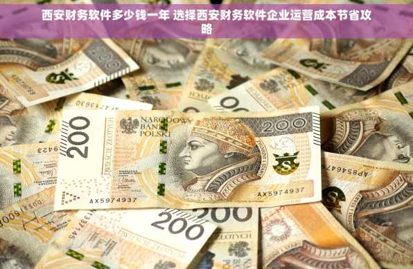 西安财务软件多少钱一年 选择西安财务软件企业运营成本节省攻略